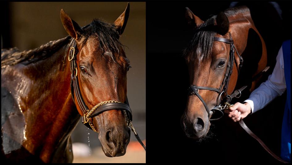 2024 BREEDERS' CUP まとめセット 2024 BREEDERS' CUP まとめセット hq720.jpg?sqp=-