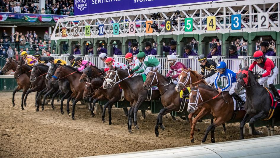 Horses break from the gate at the start of the 2018 Breeders' Cup Juvenile.
