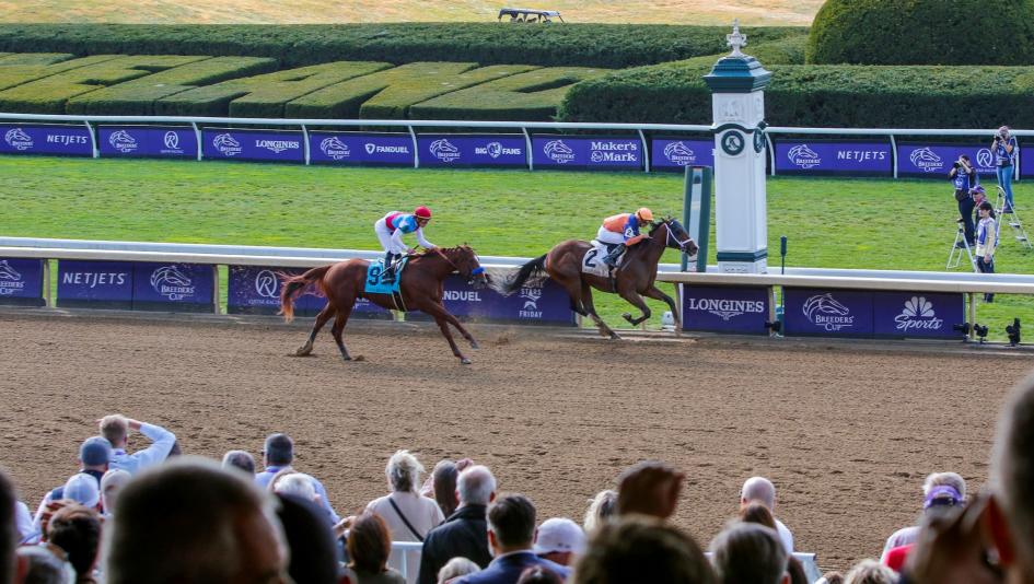Where to Watch/Listen: Breeders’ Cup Week 2026