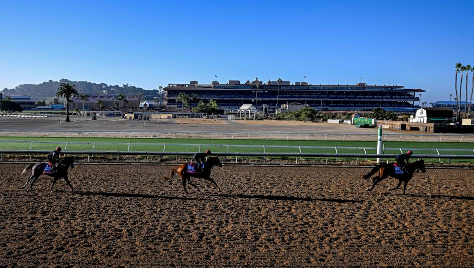 Breeders’ Cup Juvenile Fillies, Breeders’ Cup Distaff, Breeders’ Cup Mile, Breeders’ Cup Filly & Mare Sprint, betting, favorite, morning line, odds, longshot, Sweet Azteca, Notable Speech, Seismic Beauty, Explora, ABR Breeders’ Cup Juvenile Fillies, Breeders’ Cup Distaff, Breeders’ Cup Mile, Breeders’ Cup Filly & Mare Sprint, betting, favorite, morning line, odds, longshot, Sweet Azteca, Notable Speech, Seismic Beauty, Explora, ABR