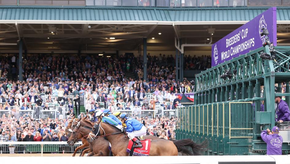 What to Know About the 2026 Breeders’ Cup Championship Saturday Races 