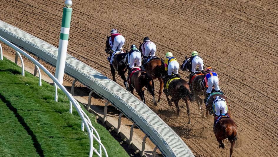 Breeders’ Cup Distaff, tips, trends, history, Del Mar, fillies, mares, horse racing, Thorpedo Anna, Dorth Vader, speed, favorites, longshots, Saratoga, Personal Ensign, gambling, horse racing, ABR