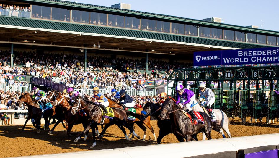 Baffert, Pletcher, and Upsets: What 15 Years of Data Says About Betting the 2026 Breeders’ Cup Juvenile