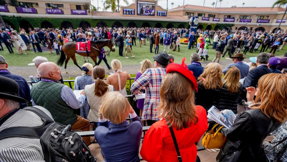 Where to Watch/Listen: Breeders’ Cup Week 2025