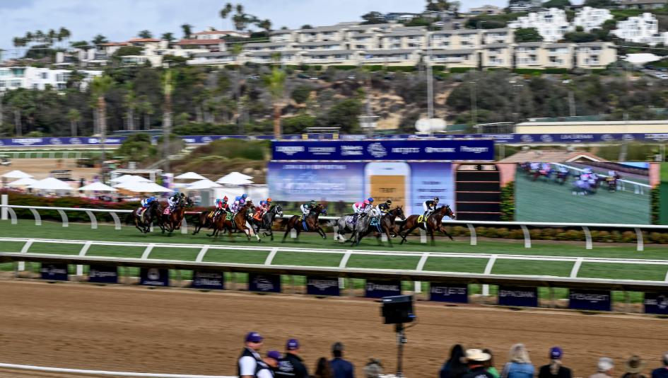 Breeders’ Cup, Championship Saturday, Del Mar, horse racing, Turf Sprint, Filly & Mare Sprint, Filly & Mare Turf, Classic, Distaff, Turf, Mile, Dirt Mile, Sprint, Sovereignty, Minnie Hauk, Mystik Dan, Bob Baffert, Rebel’s Romance, ABR