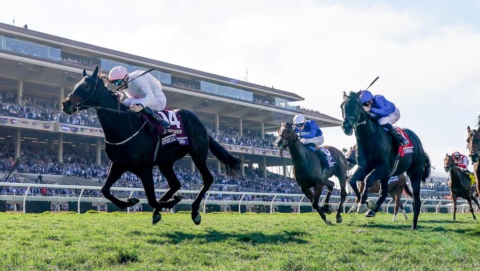 Breeders’ Cup Turf, Breeders’ Cup Sprint, Breeders’ Cup Mile, Breeders’ Cup Filly & Mare Turf, Breeders’ Cup Filly & Mare Sprint, Breeders’ Cup Turf Sprint, Breeders’ Cup Dirt Mile, Del Mar, horse racing, ABR