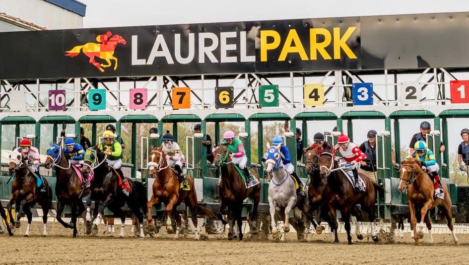 Triple Crown, Preakness, Laurel Park, horse racing, America's Best Racing, ABR