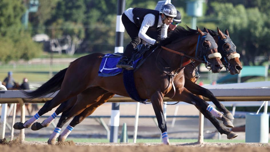 Baeza, Santa Anita Derby, Preakness, Pimlico, Triple Crown, America's Best Racing, horse racing, ABR Baeza, Santa Anita Derby, Preakness, Pimlico, Triple Crown, America's Best Racing, horse racing, ABR