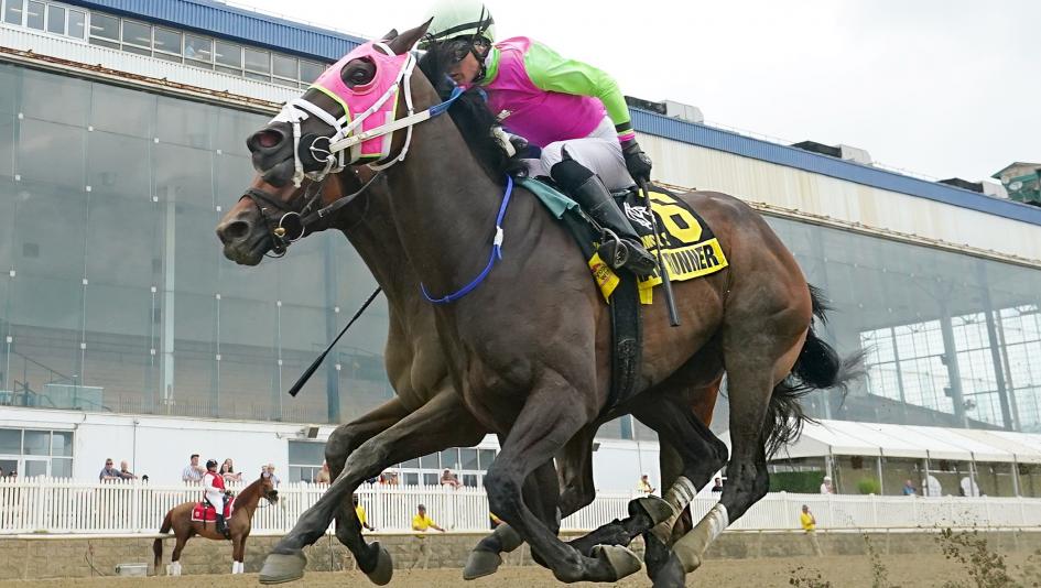 Selections and Strategy for Betting the 2026 Maryland Million Day Card