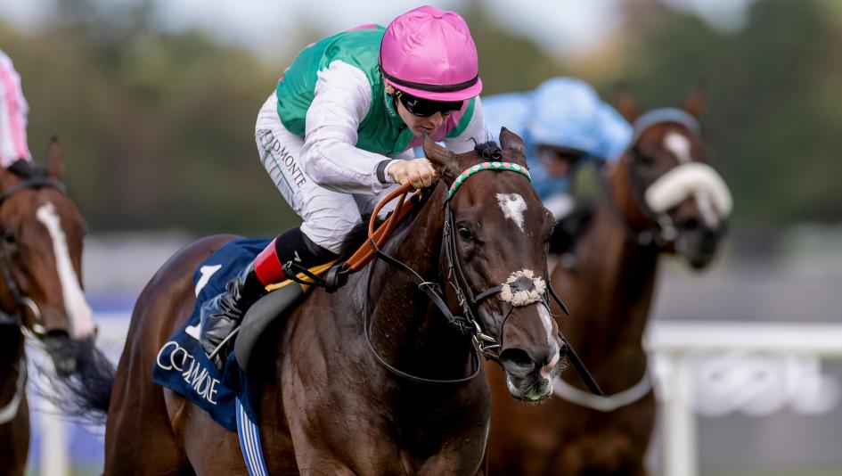 Blue Bolt, International, Keeneland, Breeders' Cup, horse racing, America's Best Racing, ABR