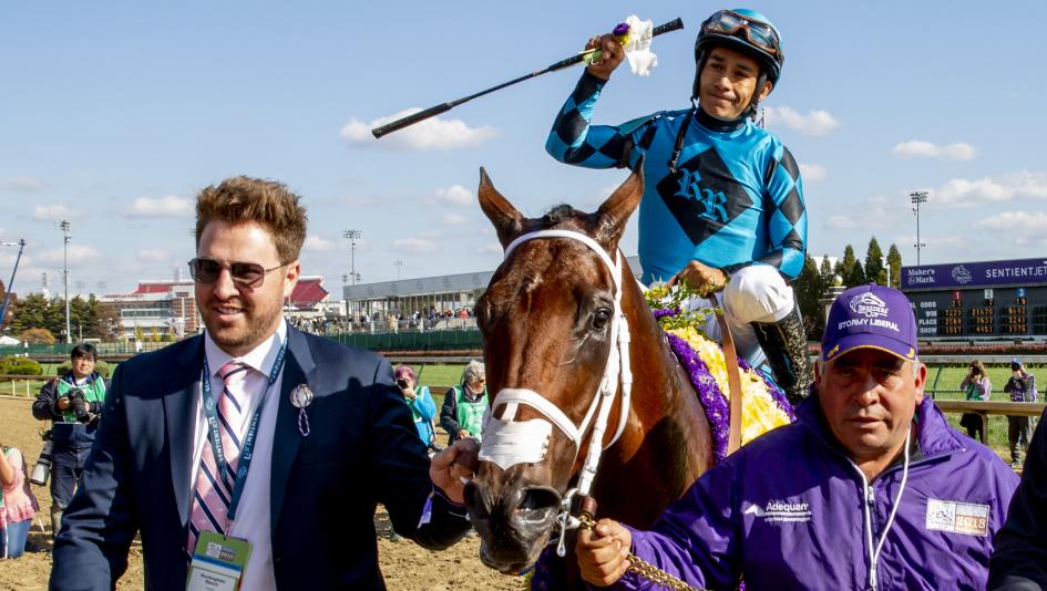 Brian Trump of Rockingham Ranch leads Roy H into the Breeders' Cup winner's circle.