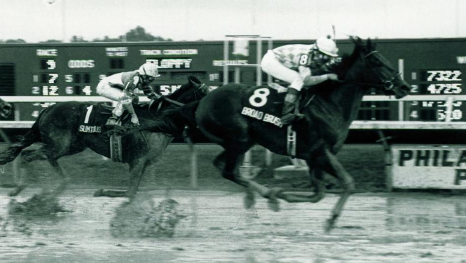 Broad Brush, Pennsylvania Derby, Parx Racing, horse racing, America's Best Racing, ABR