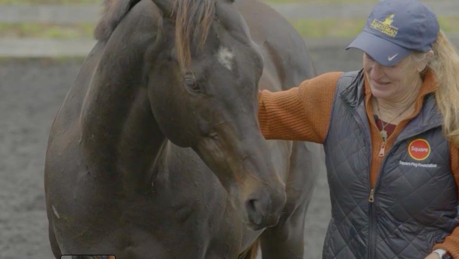 CARMA, Aftercare, Thoroughbred Aftercare Alliance, America's Best Racing, horse racing, ABR