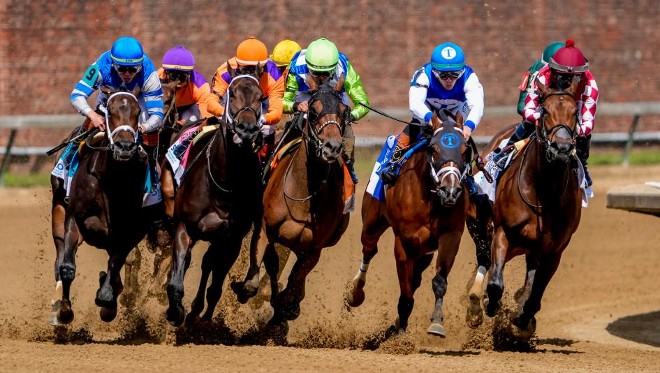 TV, television, radio, streaming, Penn Mile, Penn National, Churchill Downs, Santa Anita, Gulfstream, Aqueduct, Laurel, Monmouth, Woodbine, FanDuel TV, Day at the Races, NYRA, FOX, livestream, Pennsylvania, Byk, HRRN, horse racing, ABR, Belmont 
