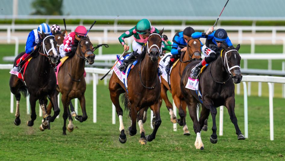 Pegasus Filly and Mare Turf Offers Golden Opportunity to Find Value 