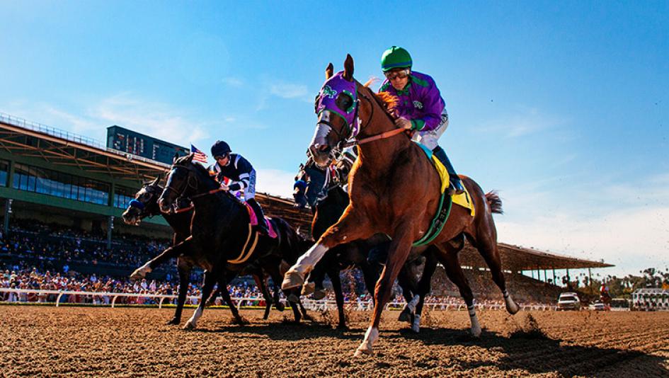Calif Brown Racer ‘Perfect’ California Chrome Boosting Sherman’s Confidence | America's ...
