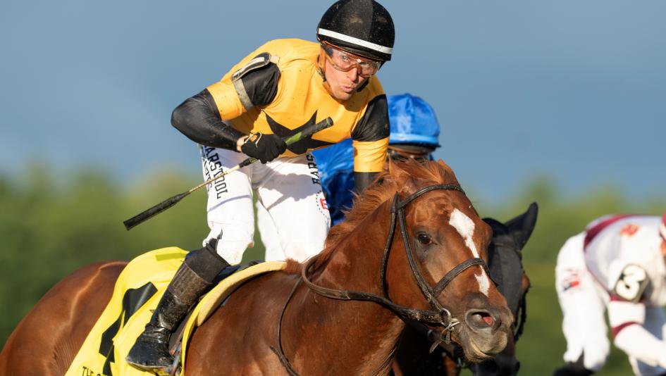 Carson's Run, Manhattan Stakes, Triple Crown, Belmont Stakes, Saratoga, America's Best Racing, horse racing, ABR Carson's Run, Manhattan Stakes, Triple Crown, Belmont Stakes, Saratoga, America's Best Racing, horse racing, ABR