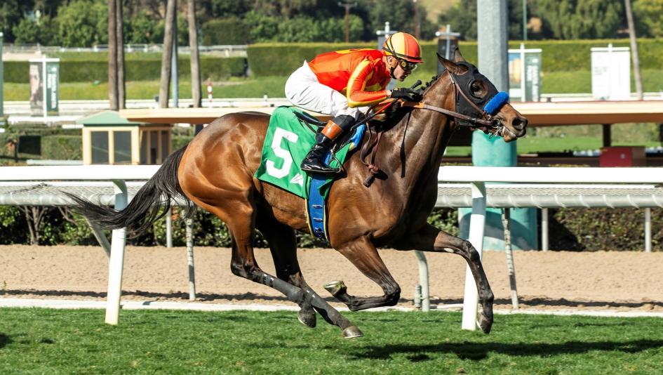 Casalu, John C. Harris Stakes, Sweet Life Stakes, Santa Anita Park, America's Best Racing, horse racing, ABR