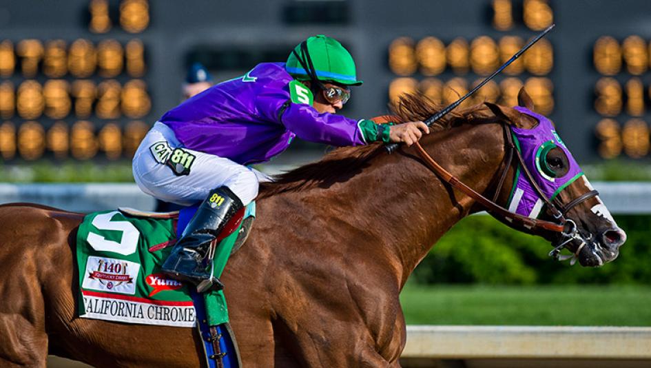 california online horse betting california online horse betting