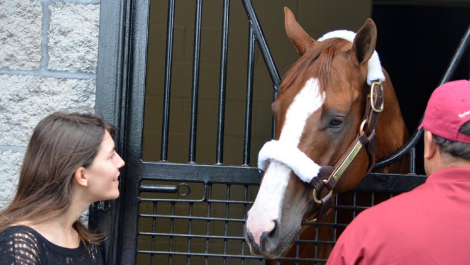 Kentucky Derby winner California Chrome is Taylor Made Farm's star resident.