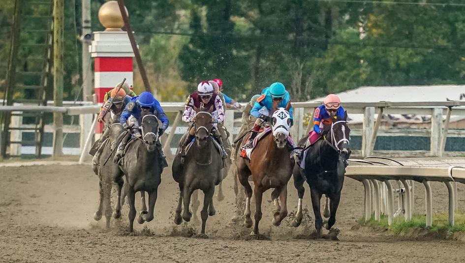 Cotillion Stakes, Parx Racing, horse racing, America's Best Racing, ABR