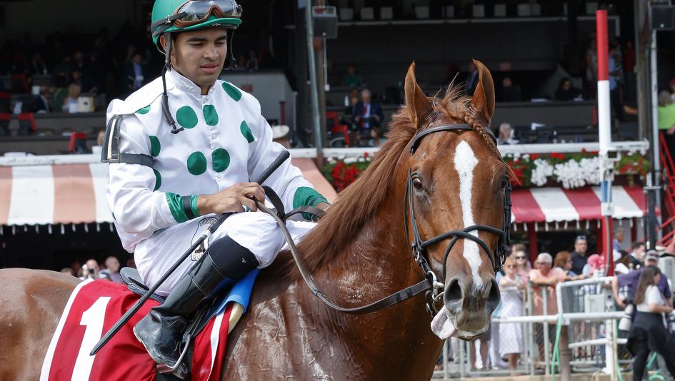 Promises Fulfilled's ears sometimes steal the show.