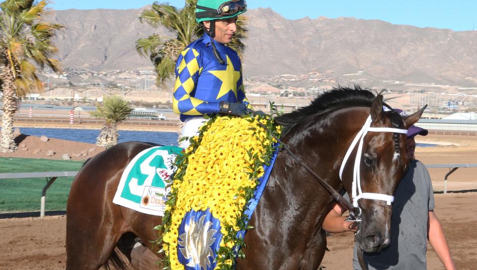 Cutting Humor earned a place in the Kentucky Derby starting gate with his win in the Sunland Derby on March 24.