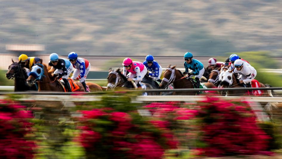 2026 Del Mar Mile Stakes at a Glance