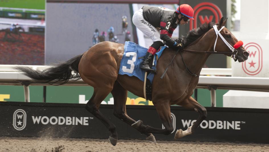 Runaway Again, King's Plate, Woodbine, America's Best Racing, horse racing, ABR