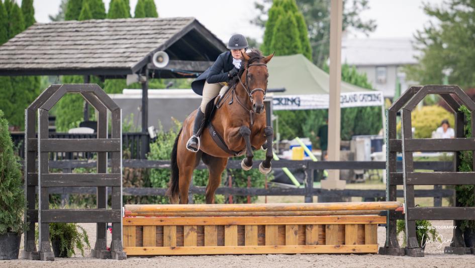  Thoroughbred Makeover Diary: Despite Ups and Downs, Anything is Possible