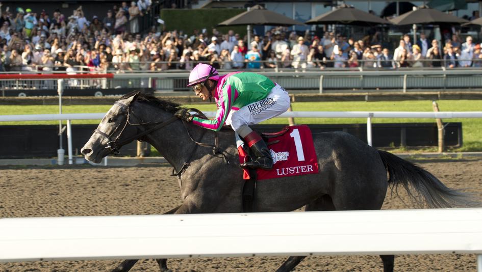 Luster, Woodbine, 2026 King's Plate Stakes, Canadian Triple Crown