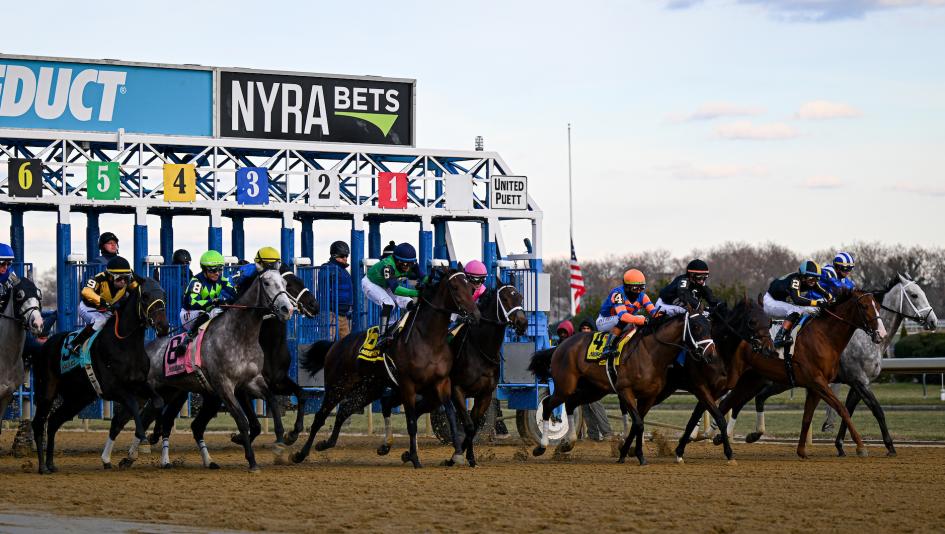 Remsen Stakes, Cigar Mile Handicap, Aqueduct, America's Best Racing, horse racing, ABR