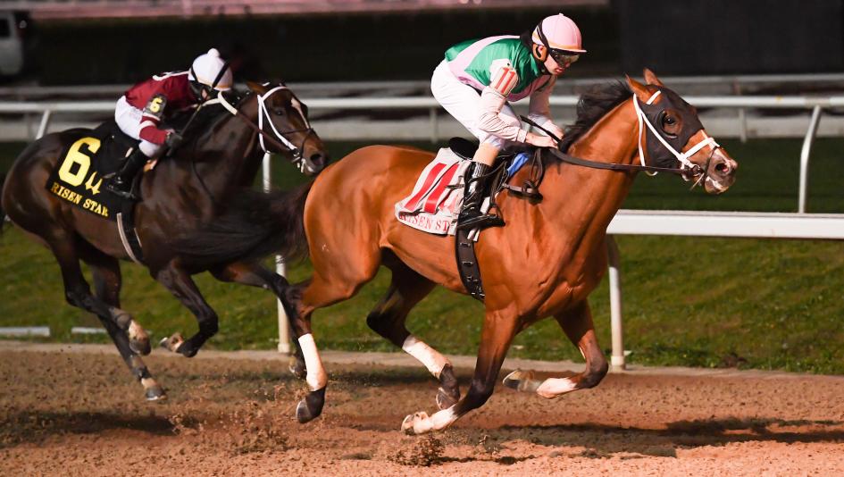 Six Trends to Consider When Betting the 2026 Risen Star Stakes