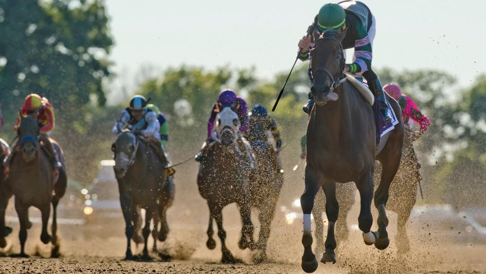 Diversify makes his 2018 top 10 debut after a win in the Suburban Stakes.