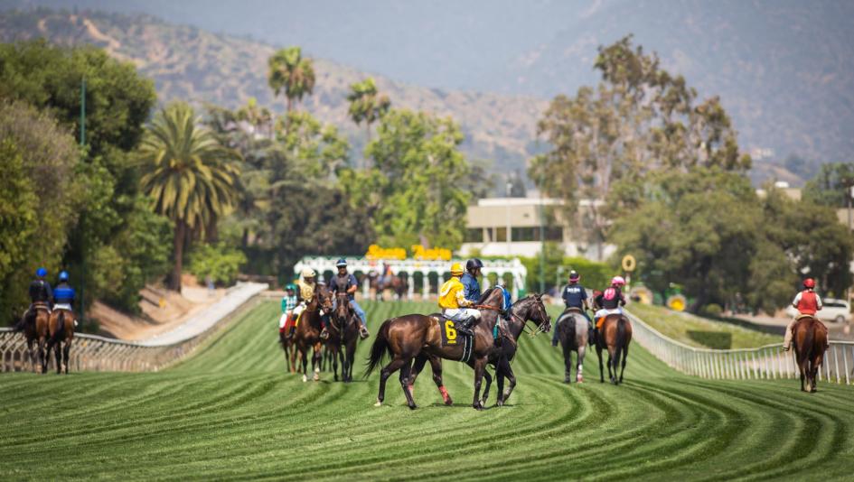 Key Trends to Know When Betting Downhill Turf Sprints at Santa Anita Park