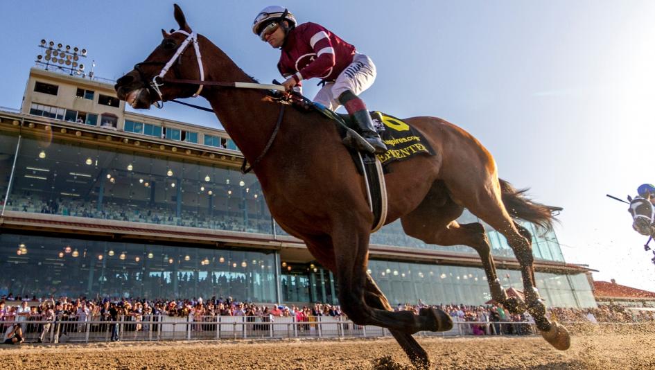 Epicenter, Joel Rosario, Louisiana Derby, Fair Grounds, Kentucky Derby, Triple Crown, America's Best Racing, ABR, horse racing