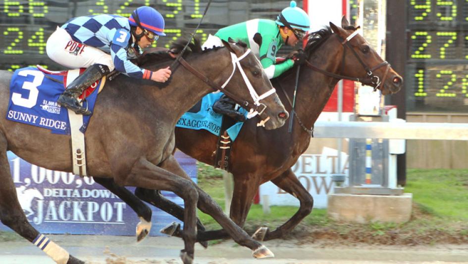 Exaggerator Lives Up to Hype in Delta Downs Jackpot America's Best Racing