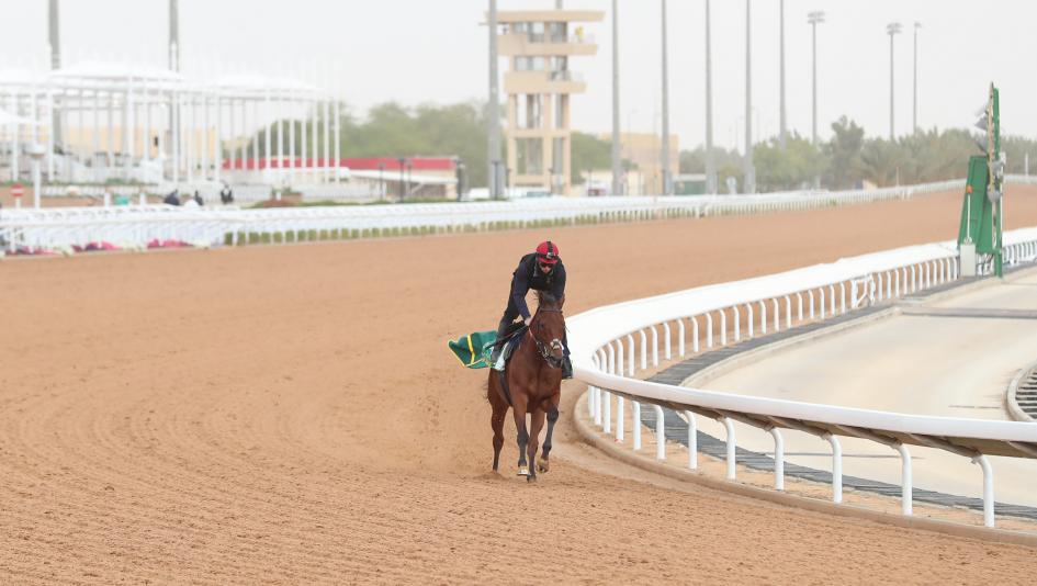 Dubai Racing Odds Dubai Racing Odds
