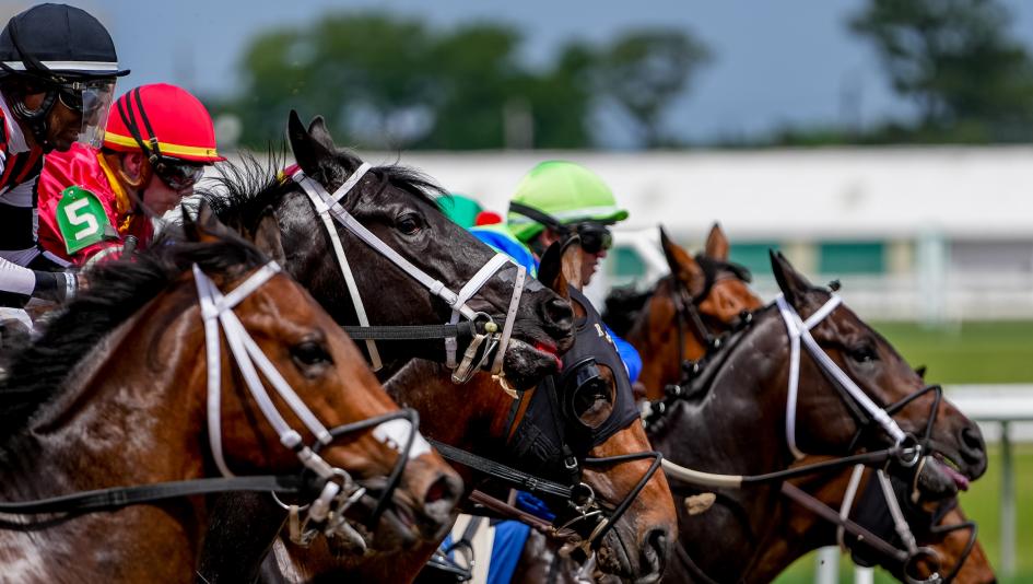 Noel’s Weekend Winners: Betting on Speed Louisiana Derby Day at Fair Grounds 