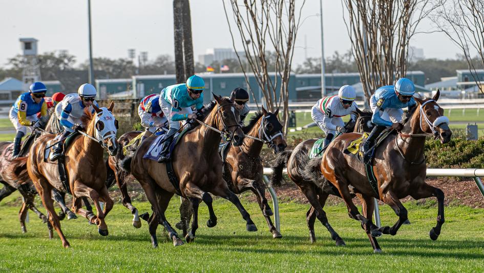 Noel’s Weekend Winners: Wide-Open Saturday Stakes at Fair Grounds