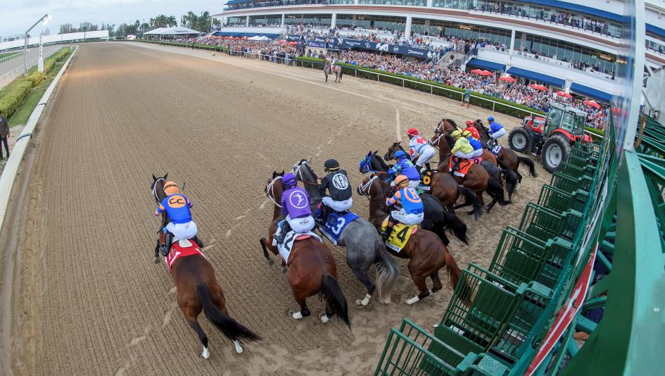 Oaklawn Park, Gulfstream Park, Florida Derby, Arkansas Derby, America's Best Racing, Triple Crown, Kentucky Derby, horse racing, ABR