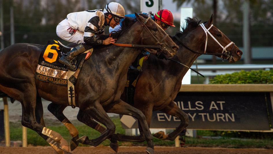 Fountain of Youth Stakes, Rebel Stakes, Gotham Stakes, Commandment, Chief Wallabee, Brad Cox, Bill Mott, Class President, John Velazquez, Todd Pletcher, Iron Honor, Chad Brown, Kentucky Derby, prep, jockey, trainer, horse racing, ABR
