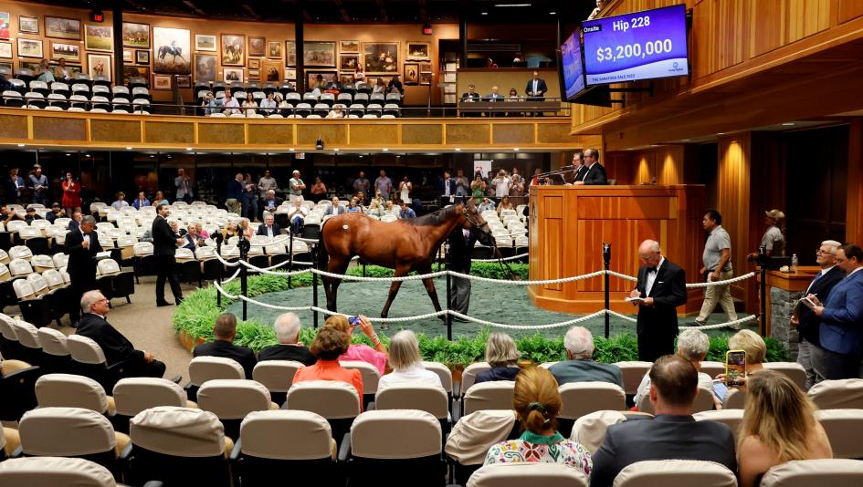 Fasig-Tipton Saratoga Sale, Barnes, America's Best Racing, ABR, horse racing, Triple Crown, Breeders' Cup