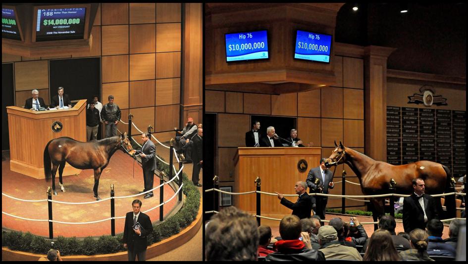 Novembers to Remember: Shining Stars at Fasig-Tipton