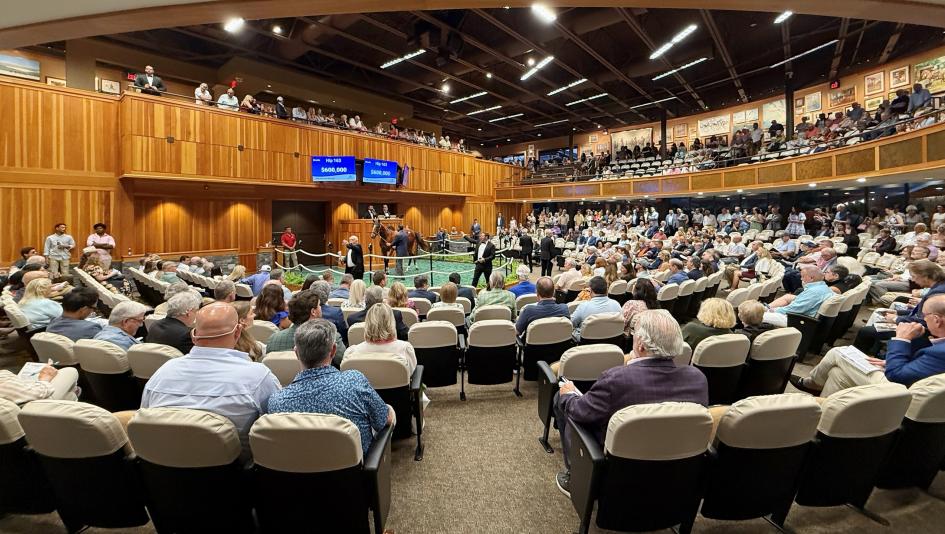 TV, livestream, radio, television, Fasig-Tipton, Saratoga, yearling, sale, auction, Whitney Stakes, Facebook, X, YouTube, FanDuel TV, Saratoga Live, FOX, FS1, FS2, Ellis, Gulfstream, Woodbine, Mountaineer, Monmouth, Byk, HRRN, RTN, horse racing, ABR