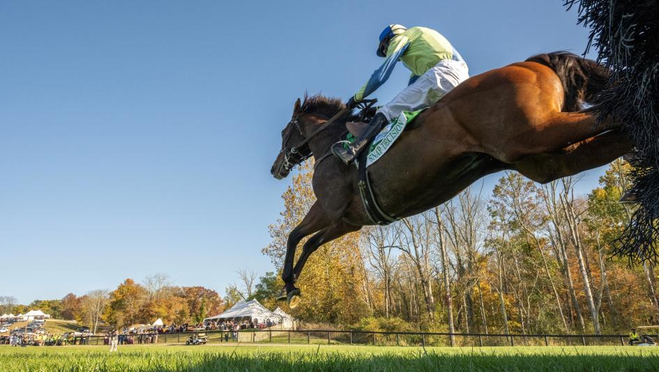 Snap Decision, American Grand National Steeplechase, Far Hills Race Meeting, Skip Dickstein, America's Best Racing, horse racing, ABR