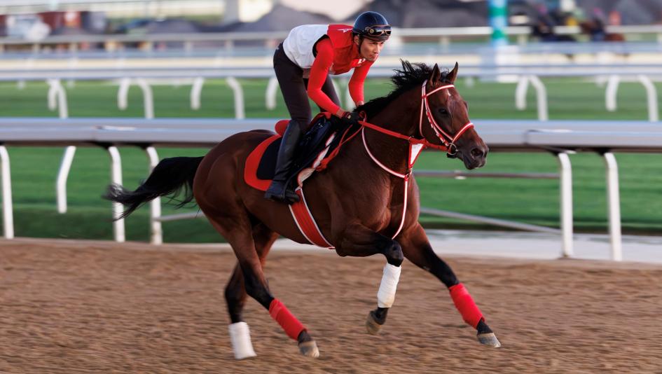 2026 Jockey Club Gold Cup Cheat Sheet