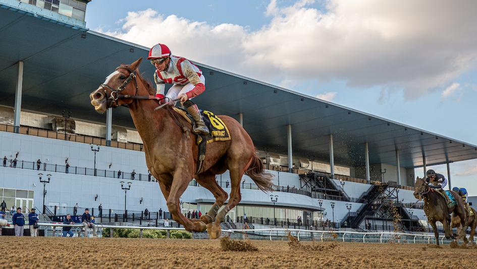 Chad Brown Already Looking Forward to 2026 with Mother Goose Winner ...