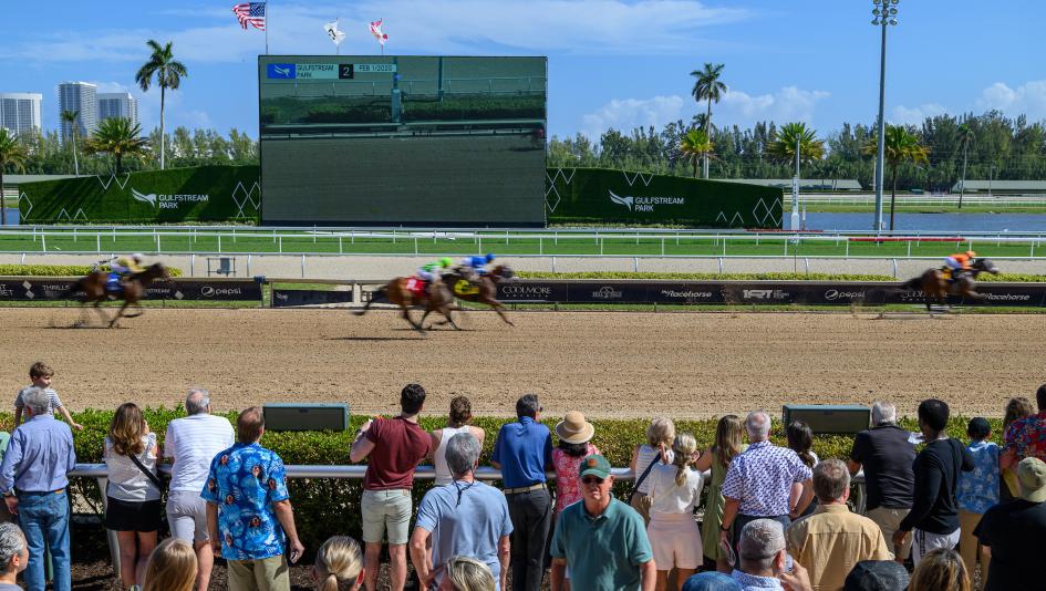 Santa Anita Park, Gulfstream Park, Sunset Pick 6, Pick 6, betting, handicapping, Goodwood Stakes, John C. Harris, Eddie D, Hollywood Beach, Full Serrano, First Mission, Casalu, Pletcher, Casse, Saffie Joseph, First Peace, Biancone, horse racing, ABR