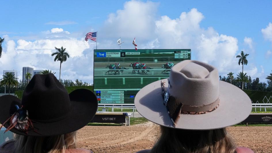 Weekend winners, betting, gambling, exacta, double, trifecta, Gulfstream Park, Mac Diarmida, Fountain of Youth, Chief Wallabee, Napoleon Solo, Bravaro, Solitude Dude, Anegada, Layabout, Without, Motion, Maker, Mott, Ortiz, jockey, horse racing, ABR